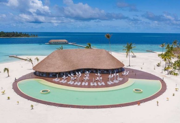 CINNAMON VELIFUSHI