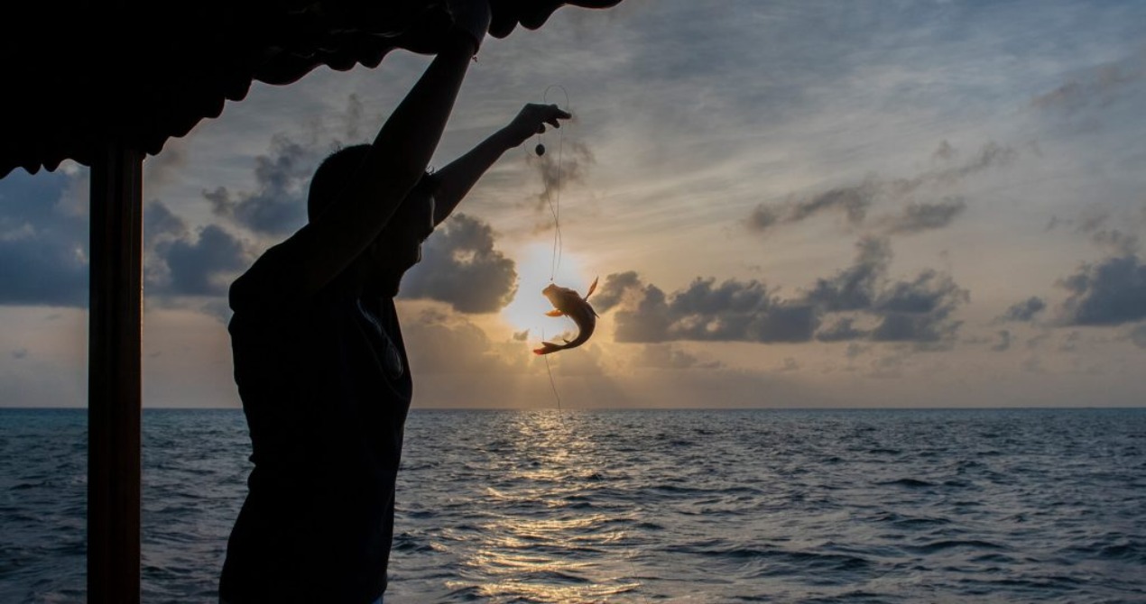 You & Me Cocoon Maldives