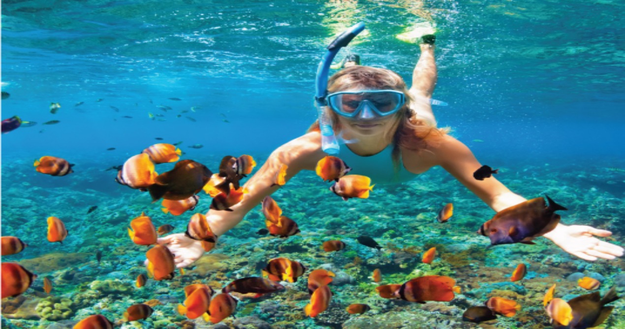 ELAIDHOO MALDIVES BY CINNAMON