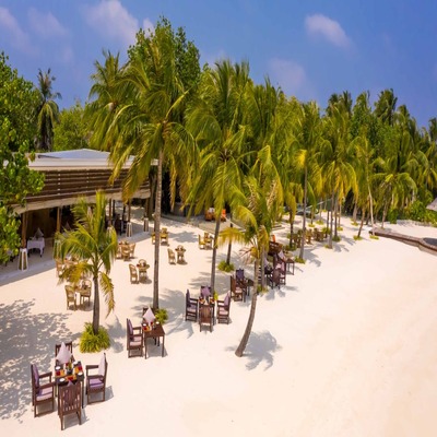 OZEN RESERVE BOLIFUSHI