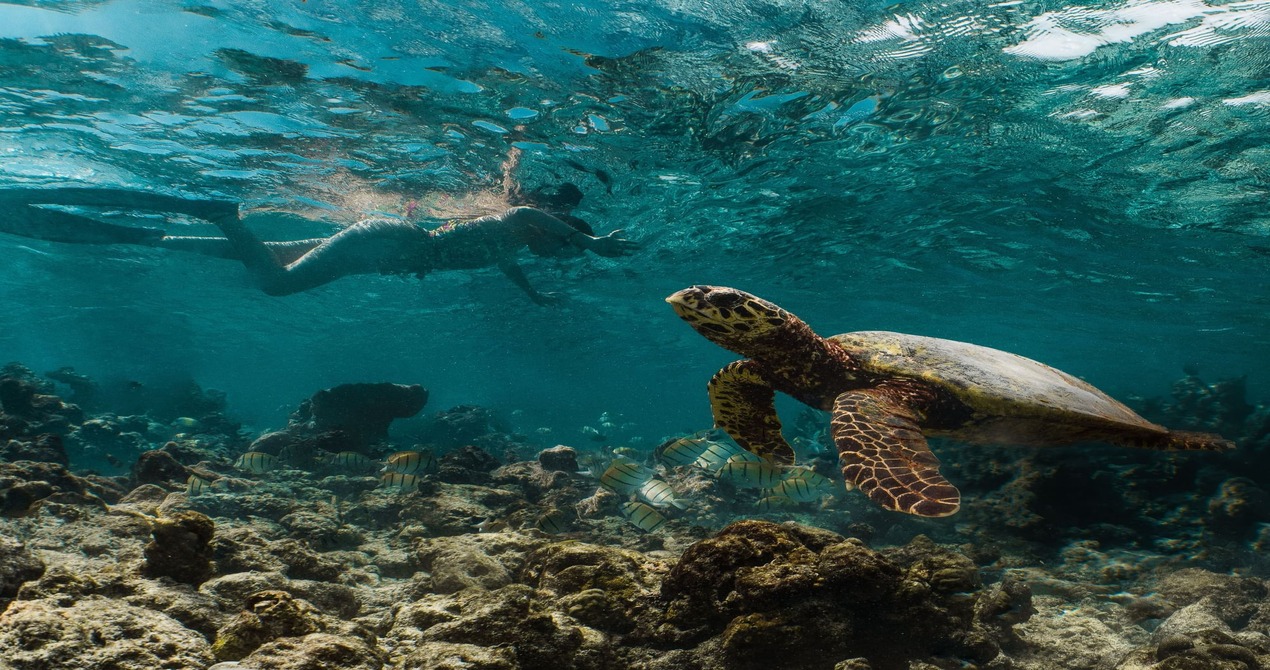 IFURU ISLAND MALDIVES