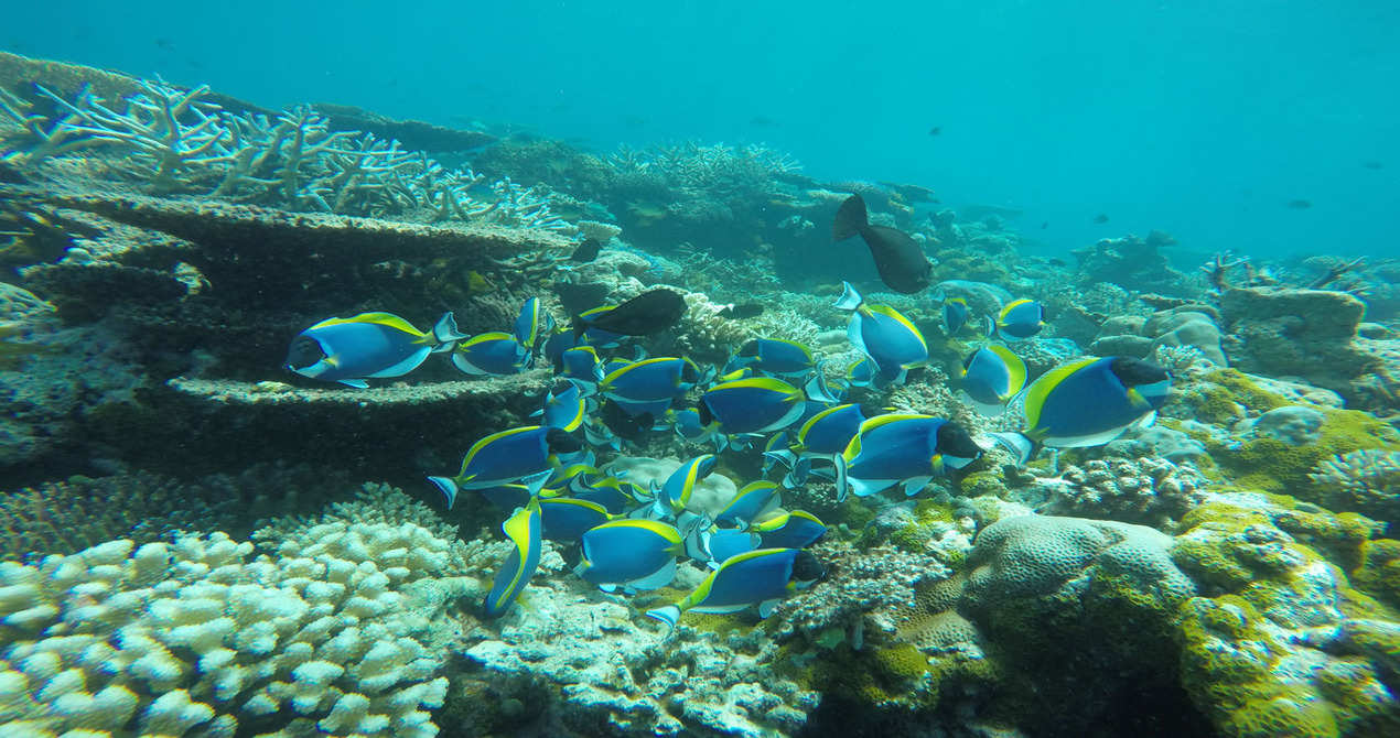 KAANI VILLAGE AND SPA, MALDIVES